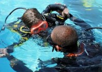 /album/a9/algrave-03-jpg1/